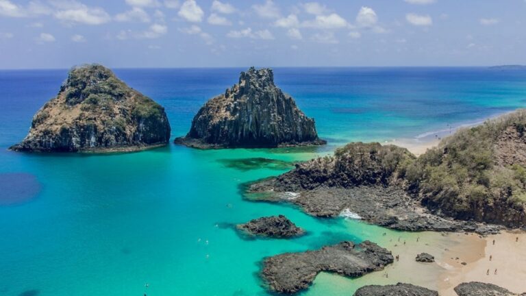 Tubarões em Fernando de Noronha: Pesquisadores Alertam para Cuidados Redobrados Após Mar Revolto