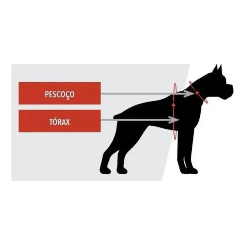 Colete Salva Vidas Cachorro Eaf Pet Vest Ativa