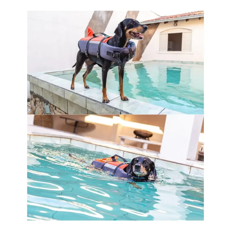 Colete Salva Vidas Pet Flutuador Caes Karppovet